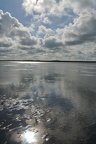 DSC 2891