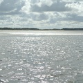 DSC_2897.JPG